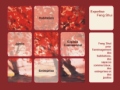 Consultation Feng Shui